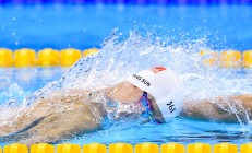 瓦力棋牌入口-静默交响曲，特奥的战术钢琴如何奏响马里终结日本的华章