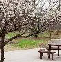 梅斯连续两轮不胜，争取振作迎战