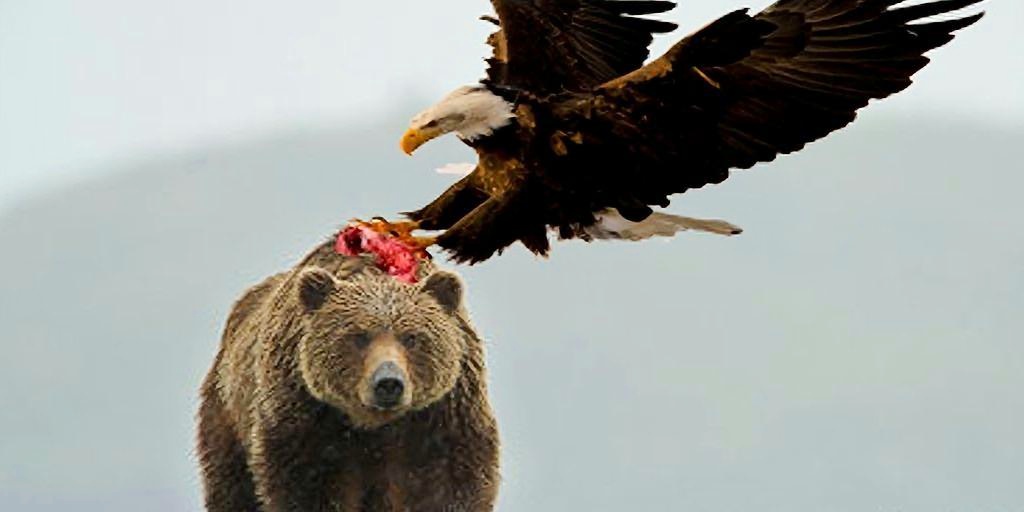 熊猫击败老鹰,球员互动频频赛后场面火爆 熊猫击败老鹰,球员互动频频赛后场面火爆