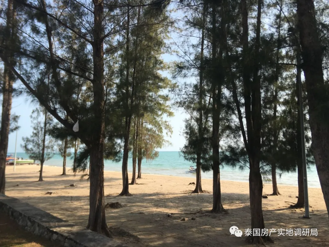 包含马来西亚队翻盘泰国队，戴资颖状态火热的词条