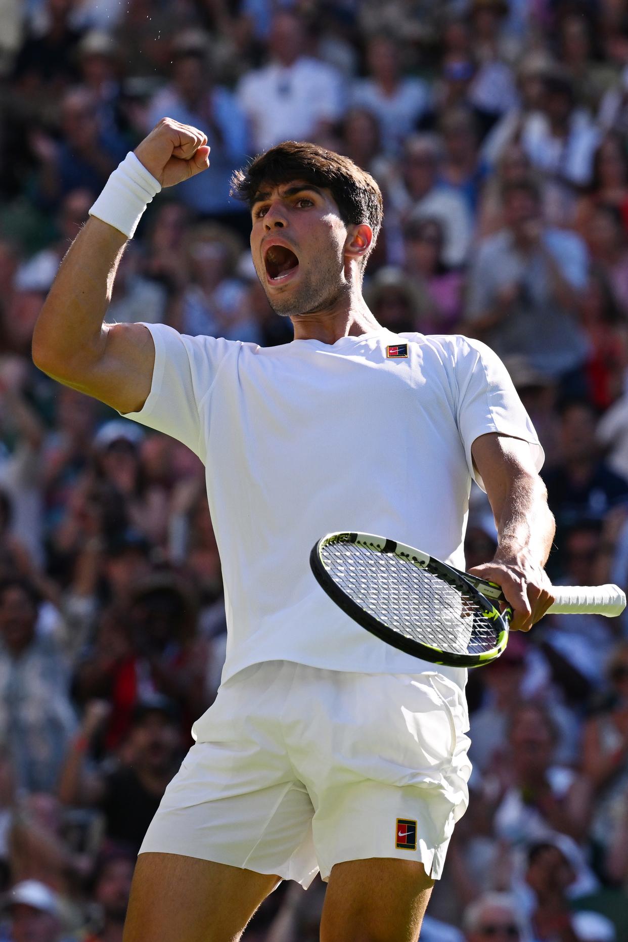 温网逆转戴维斯杯，阿尔卡拉斯高光表现的简单介绍