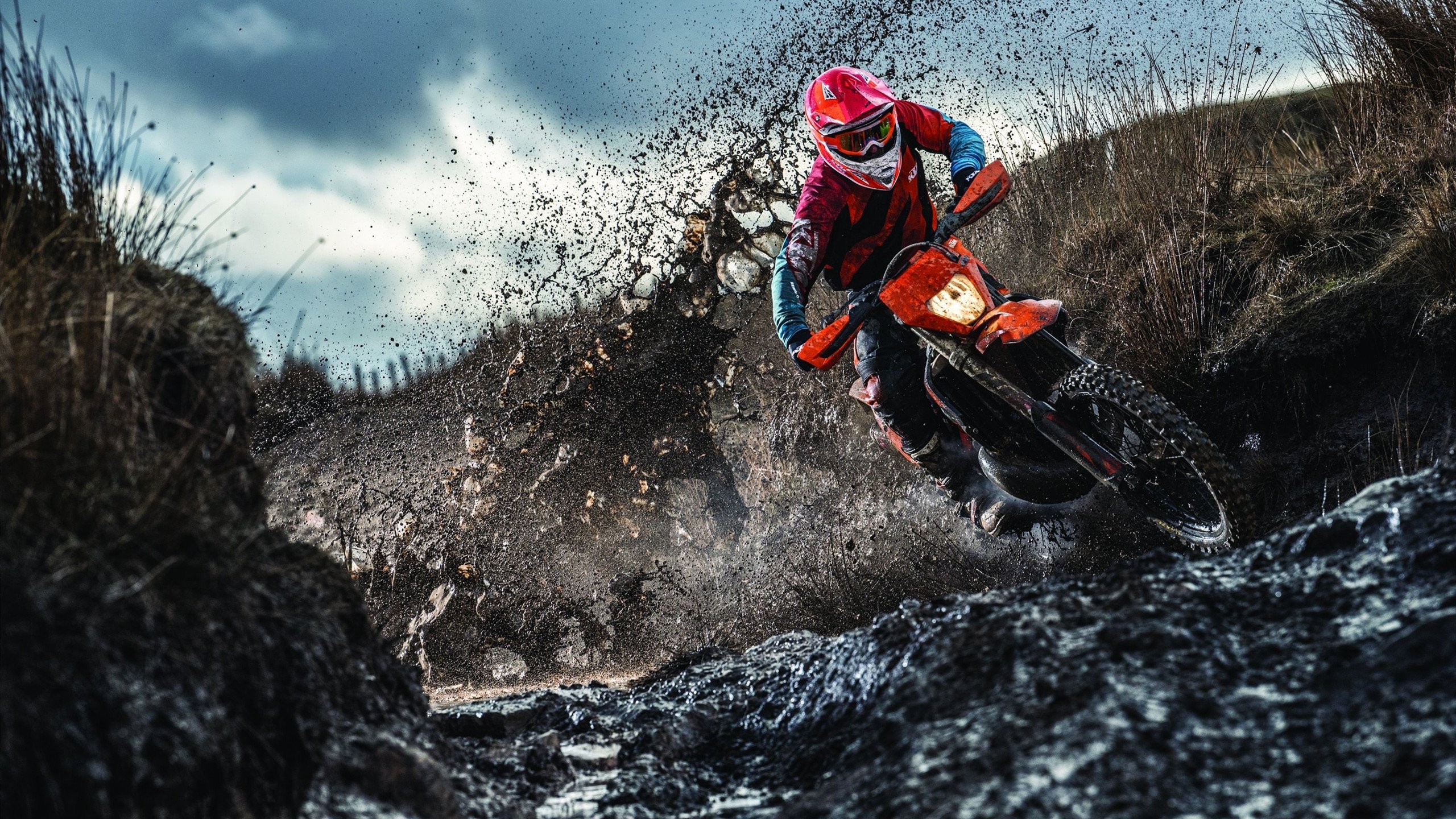 从积分垫底到历史性双分完赛，哈斯上演地球组逆袭，佩雷兹压轴超车秀惊艳全场